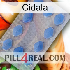 Cidala 21